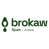 brokaw300x300